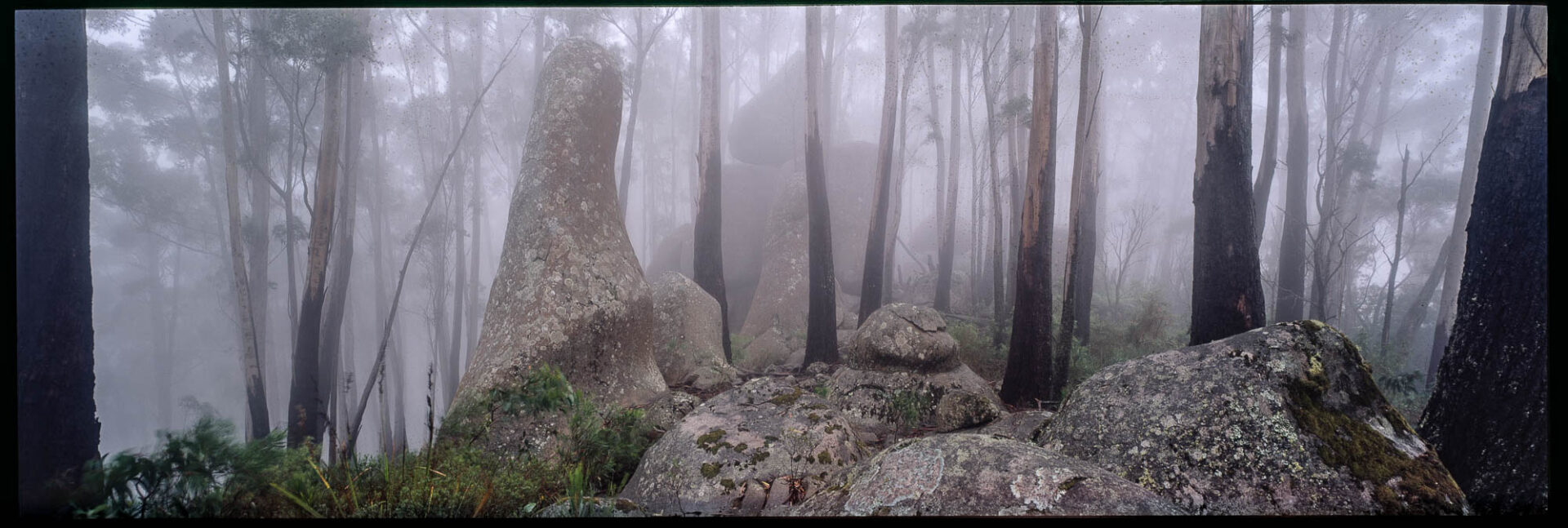 The Heights Of Gubara, NSW