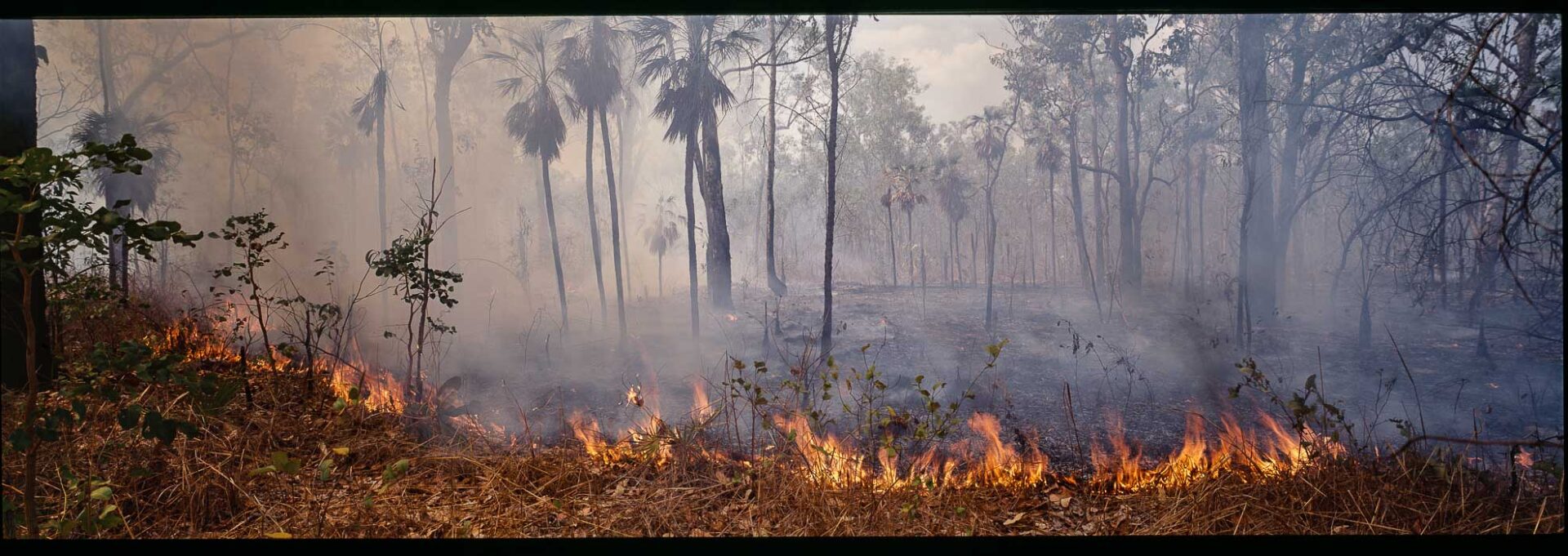 The Line Of Fire, Manangoora, NT