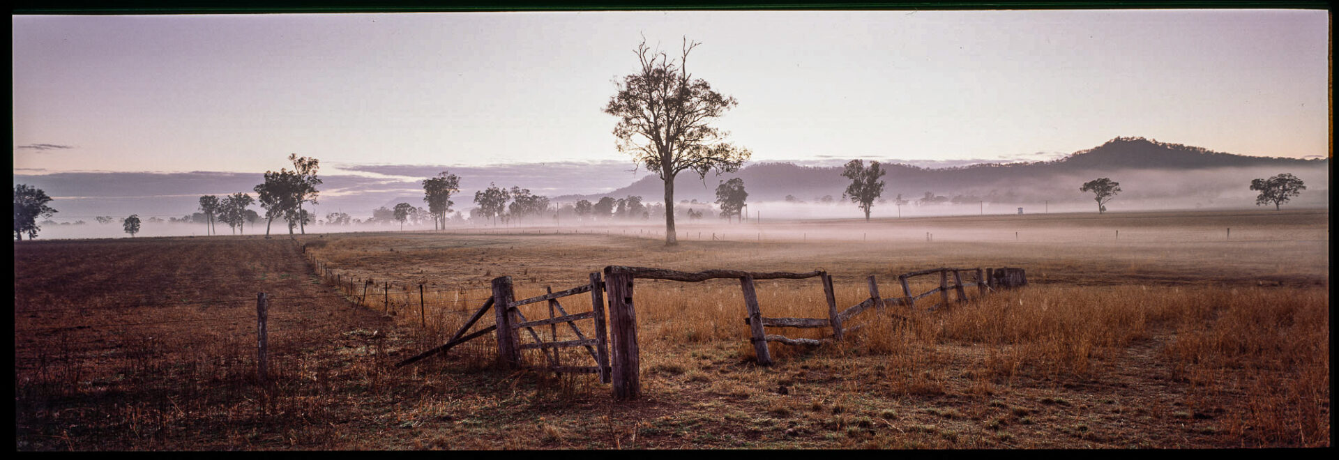 Beaudesert Dawn, QLD