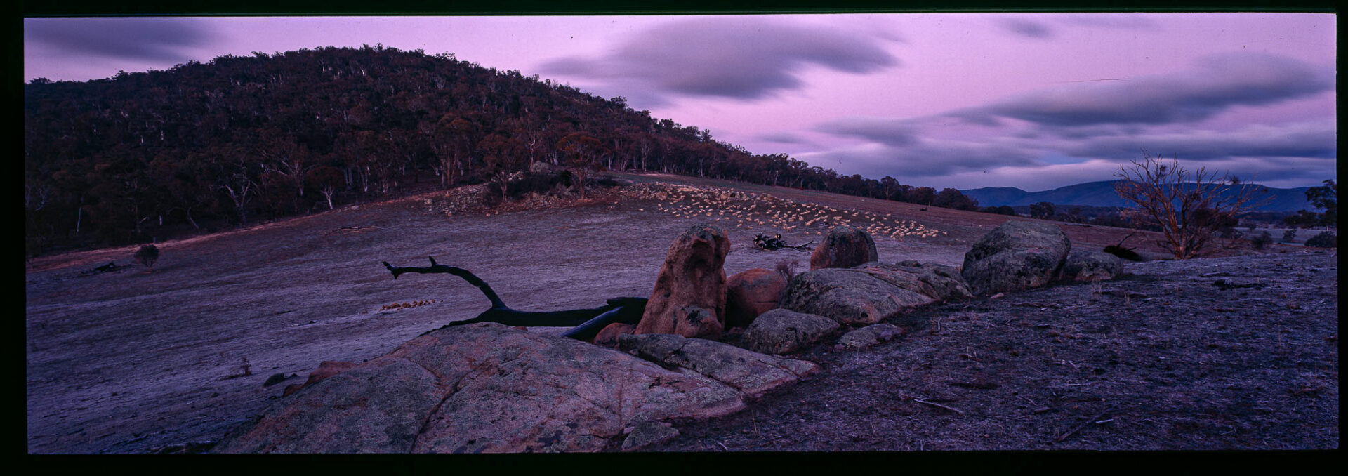 Dawn In Michelago, NSW