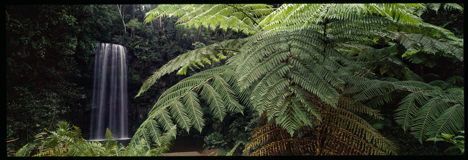 Millaa Millaa Falls, NQ