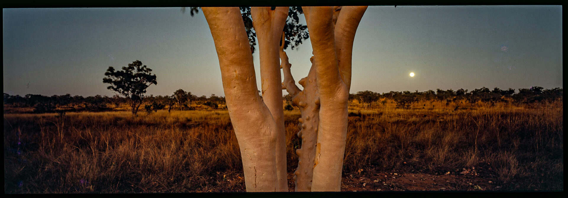 Moonrise, Pentecost River, WA