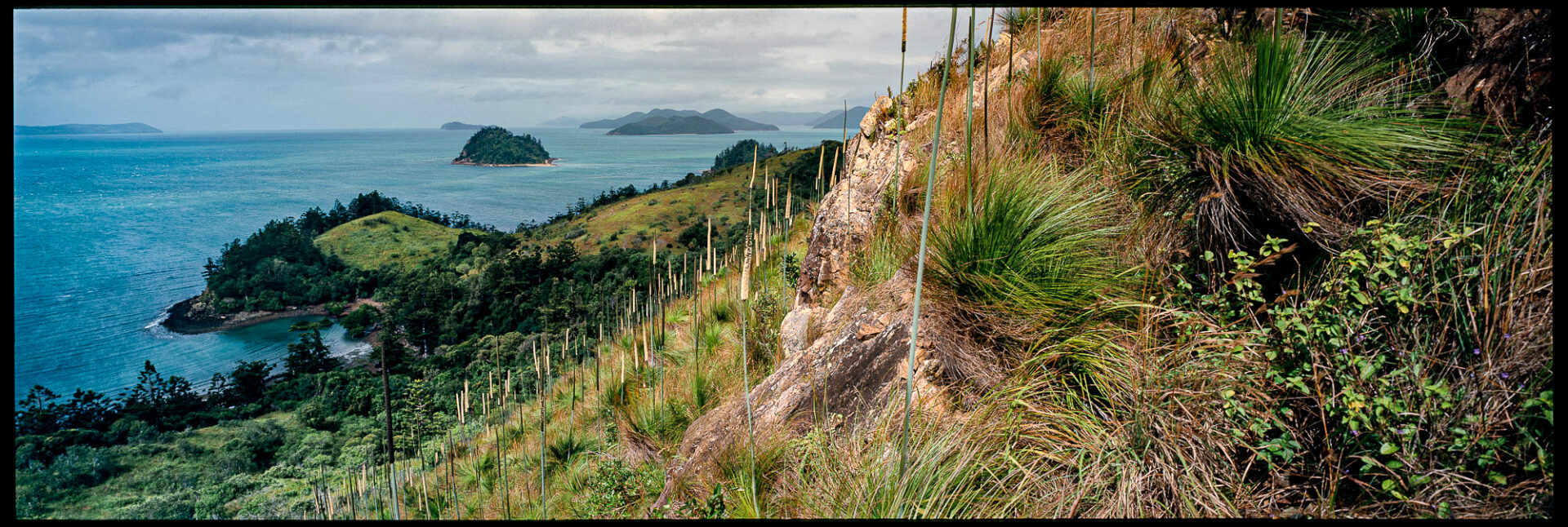 Oyster Bay, South Molle Island, NQ